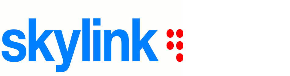 www.skylink.sk
